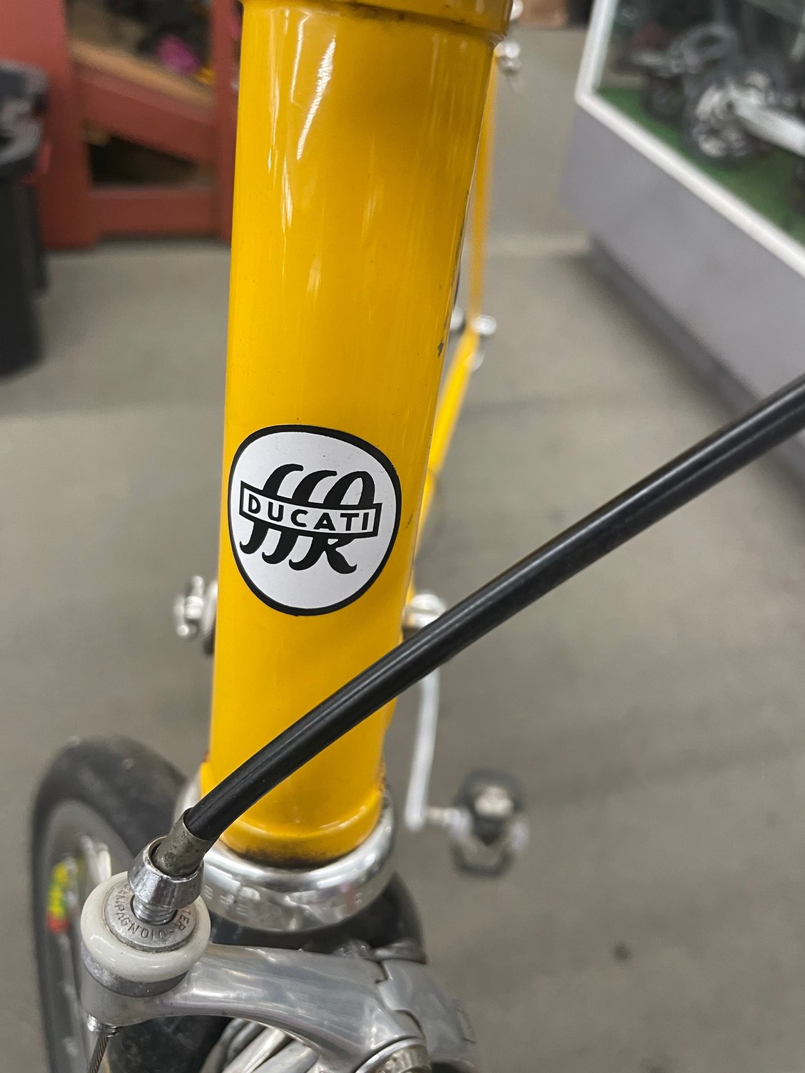 Ducati?