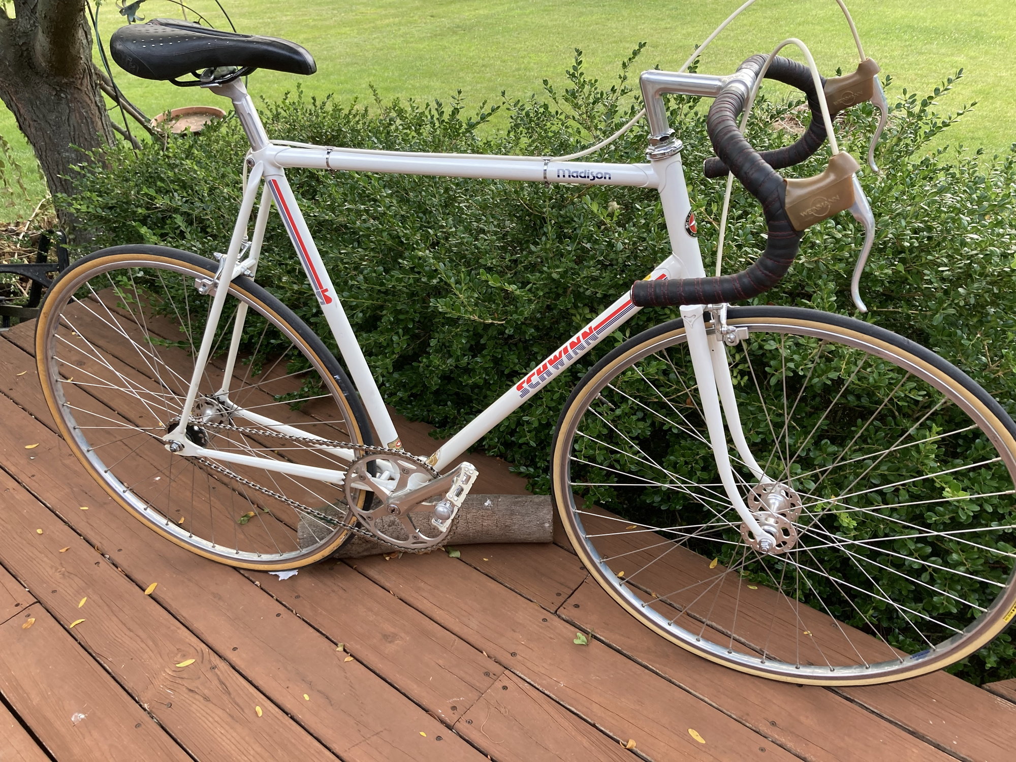 Schwinn madison best sale for sale