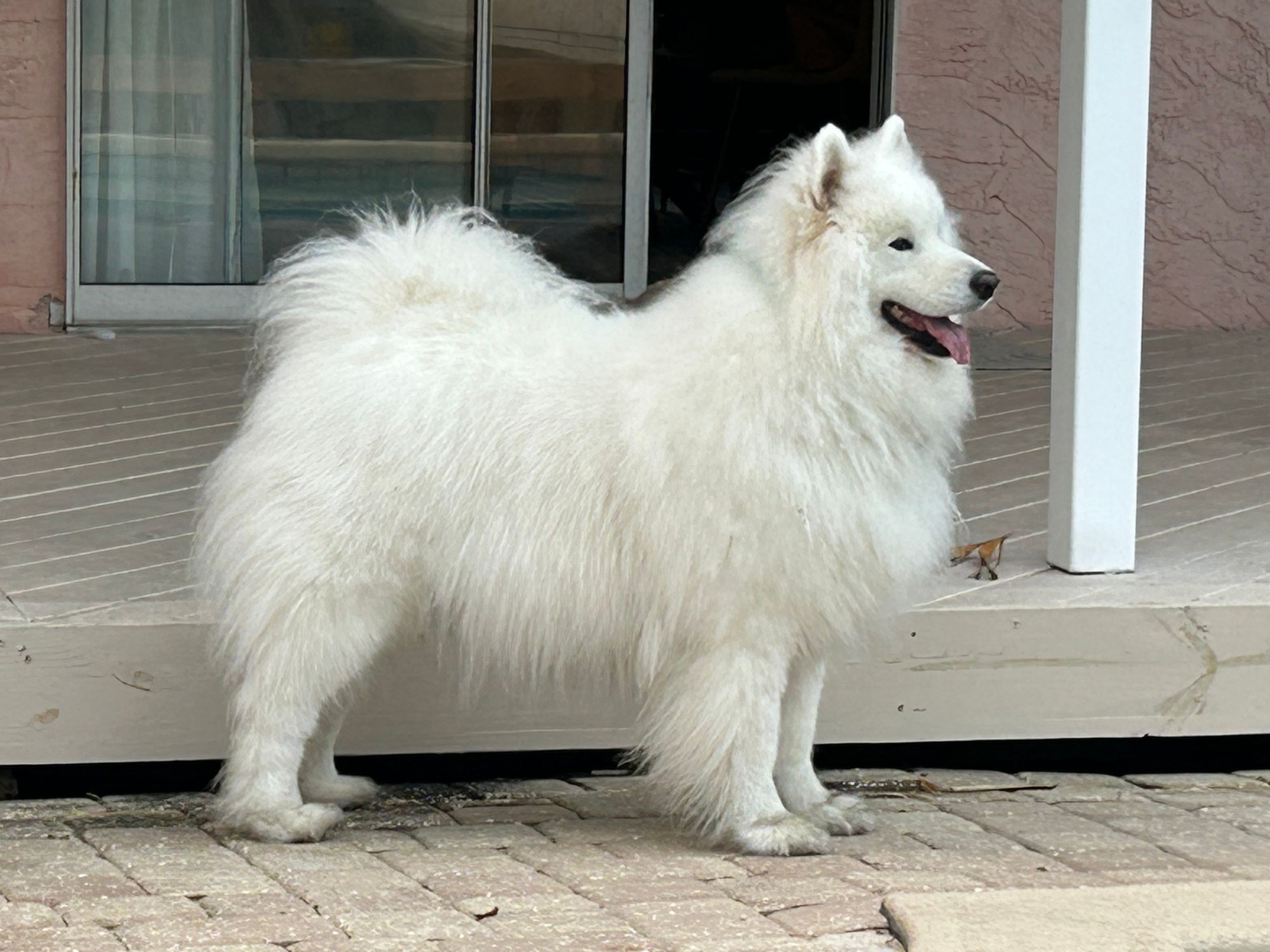 Guarding the door
