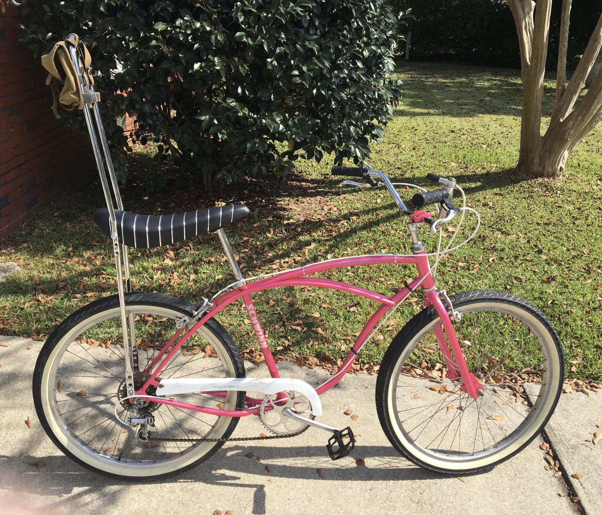 Schwinn bike with banana clearance seat and sissy bar