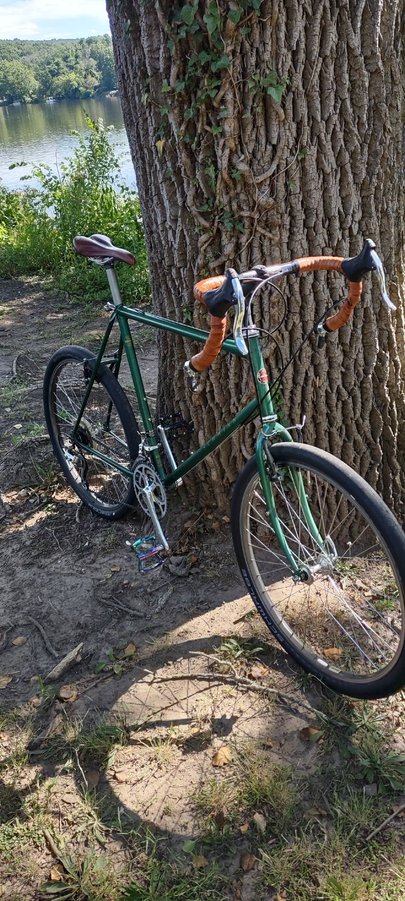 1985 Schwinn Cimarron Size L Bike Forums