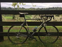 Jones Rd. farms with nice fencing
