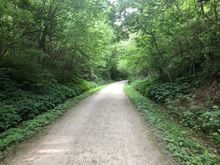 Typical trail picture