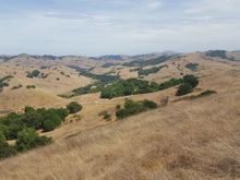 Im seeing EBMUD opening up some of the trails with permits.  This one's still horse/hiker only. Sobrante ridge overlooking Alhambra road .