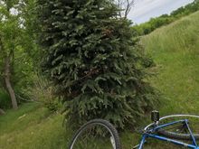 Santa Clause, in an effort to reduce his carbon footprint will not be delivering lumps of coal to naughty children this year. Instead.....