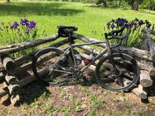 Very nice split rail fence with irises.