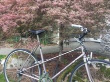 Been robbed of a few parts, but a gentle life for 40+ years.  Now with a kid’s seat.