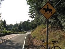Or on a trail