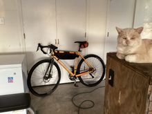 Workhorse gravel bike guarded by Ignacio lol. 