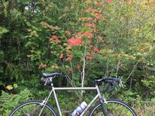 Can Autumn be far away?