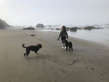 Cayucos near 15th St. 
