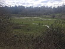Little Lake Boren. The sign is red the Mondia = burnt Orange