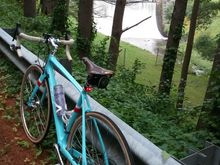 New Raleigh Carbon Clubman 