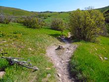 The bit in the shadows by the trees is where the front lifted on me.  It's much steeper than this picture makes it seem.