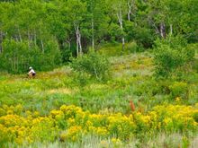 And one bike rider I snapped when I got back down.  
