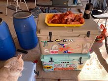 Drumsticks ready for the smoker. Fiesta seasoning out of San Antonio. 