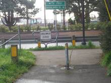 EWEB path to Rosa Parks path, Springfield, OR