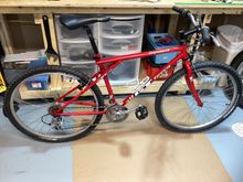 My bikes 2025-09-23