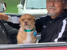 Yes, he rides in my lap on trips.