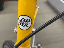 Ducati?