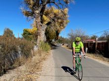 Cottonwoods on Upper San Pedro Rd.