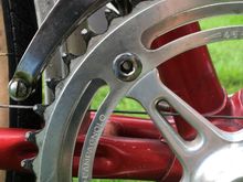 campy 46t ring anyhow