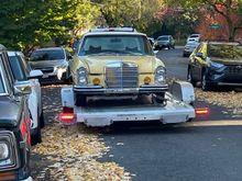 Goodbye Buttercup