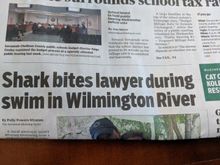 The shark died of food poisoning
