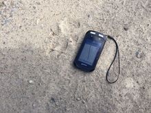 Yikes! A wolf was apparently stalking an elk on the road; I place my Garmin by it to give an indication of how large the track was. This was behind Iron Mountain on the Tour Divide, about 40 miles past Butte MT.