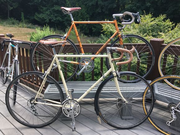 AD Olympian, Batavus Competition