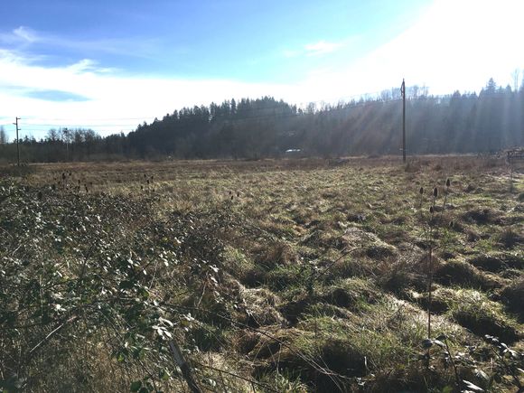 The ‘upper bog’ is Wintry brown.
Continuing the red roofed barn theme, below.