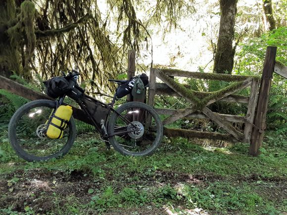 Along the C2C bike route.