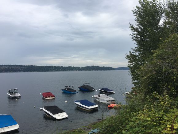 ^^^^ North along Lake Sammamish
