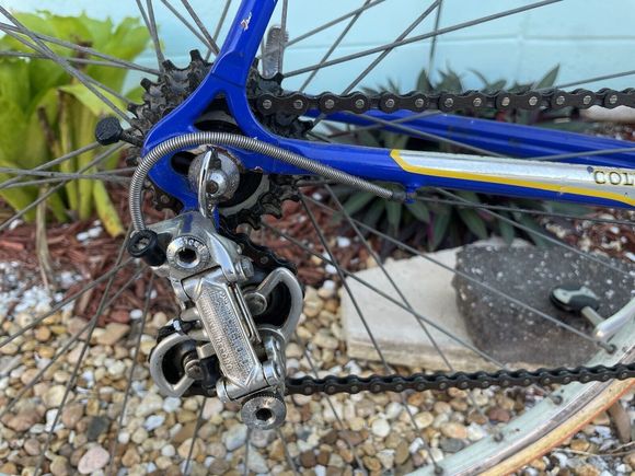 I wonder Seems like a basic build with the chrome sticker vs having any real chrome around the rear dropouts