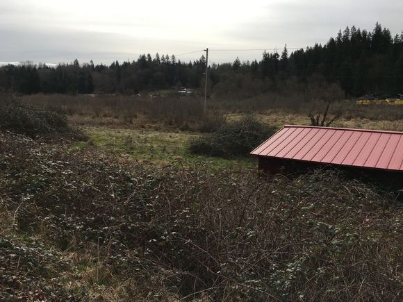 Continuing the Red Barn theme, the upper Bog is not not afloat.