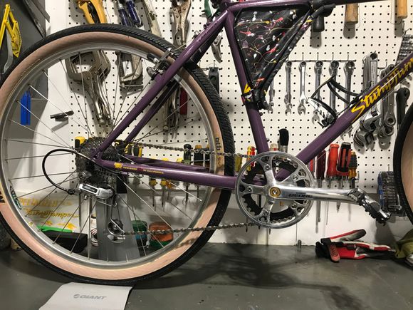 Nickel and black with bash guard silver crank bolts