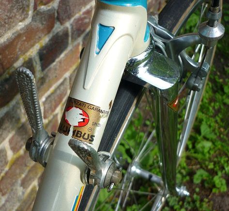 1981