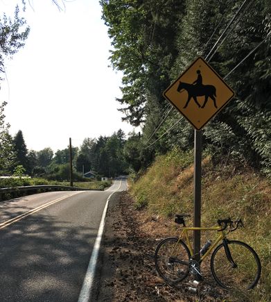 Or on a trail