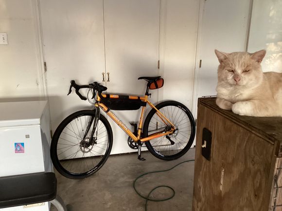 Workhorse gravel bike guarded by Ignacio lol. 