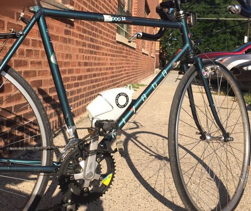 Out in the sun to showcase that '90's Teal! 