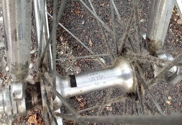 Sunshine Sansin Gyro hubs