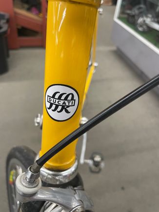 Ducati?