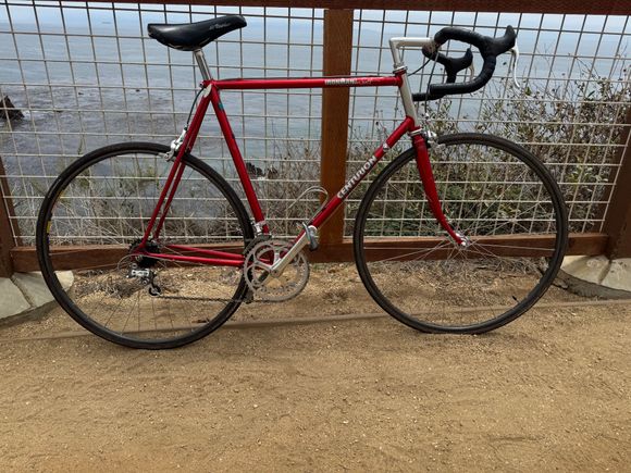 Saddle is fine. 