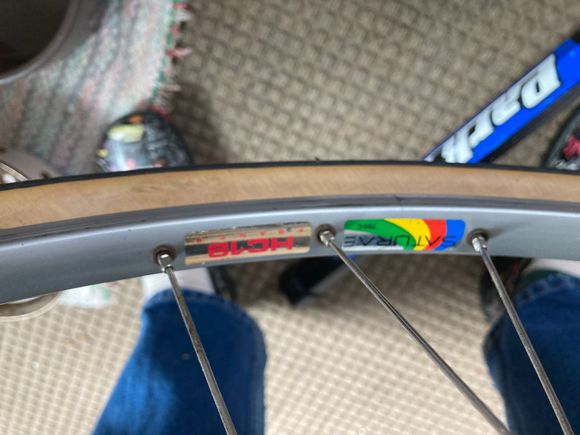 These Saturne/Saturae rims are quite nice. I had them mounted with 32 mm Herse tires.