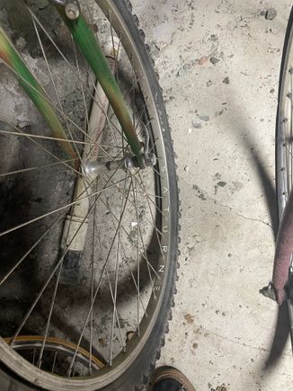 Saturne rims on campy hubs 