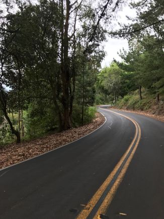 Crews were out working on the roads today. Some recently paved patches caused me to stop and wipe off the sticky new tarmac. This section of Wildcat Canyon Rd. already got the treatment.