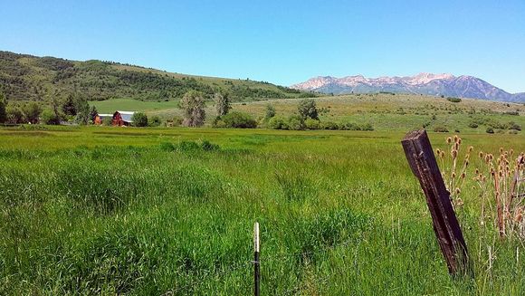 This land is for sale so it won't look like this much longer