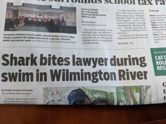 The shark died of food poisoning
