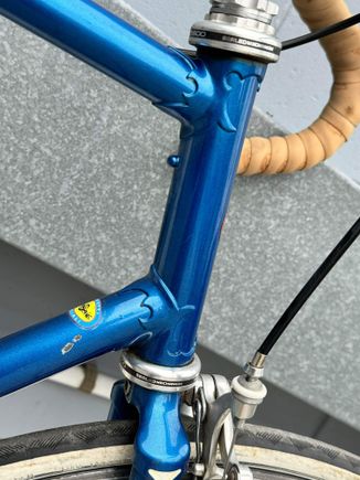 interesting to mix the Nervex Pro lugs with this modern fork crown