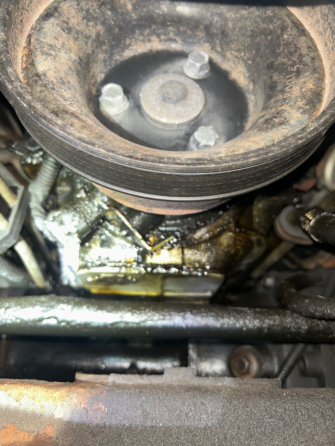 Front of motor